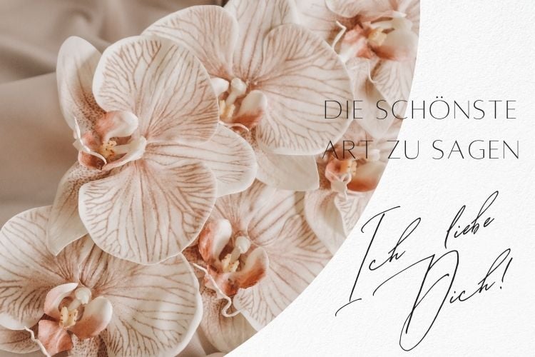 Sprüche mit Orchideen für Liebe und Freundin