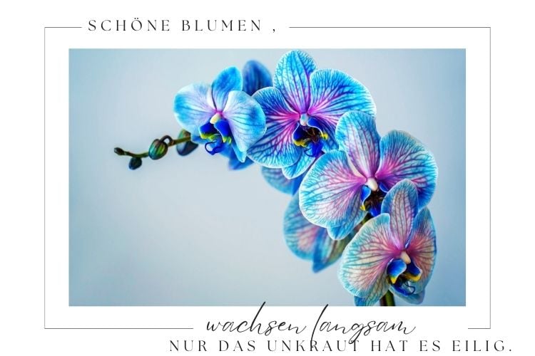 Sprüche über Freundschaft mit Bildern von Blumen