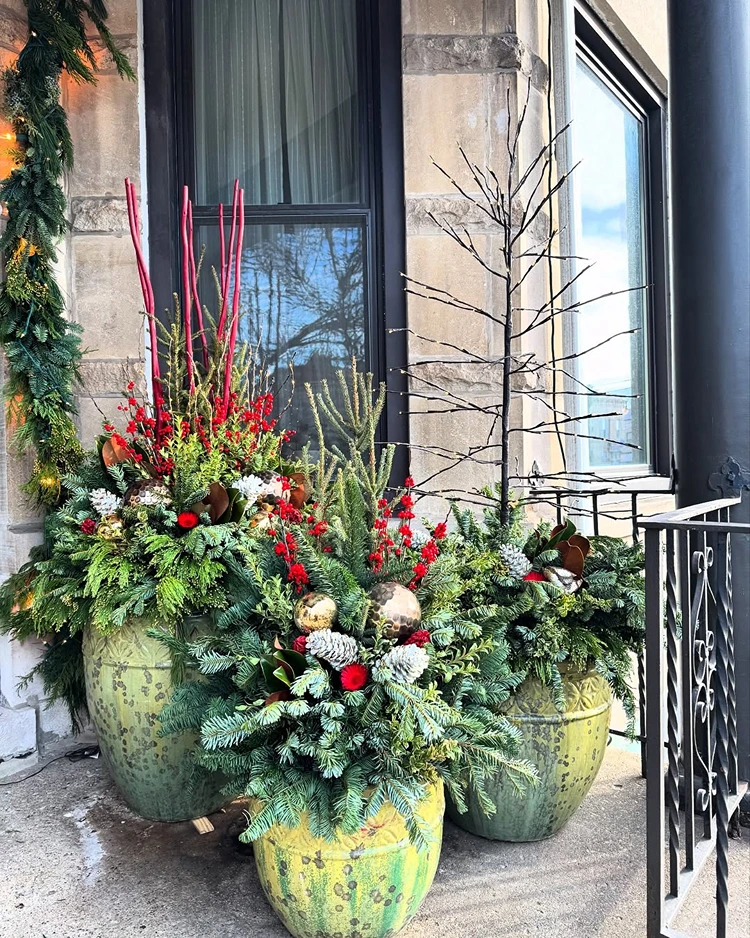 weihnachtsdeko für den garten immergrüne arrangements in kübeln