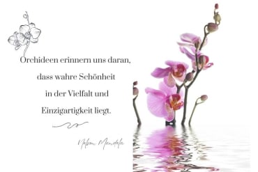 zitate über orchideen zum nachdenken für liebe und leben