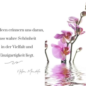 zitate über orchideen zum nachdenken für liebe und leben