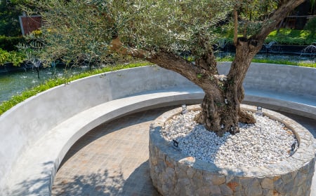 a,serene,outdoor,seating,area,featuring,large,olive,tree,,surrounded