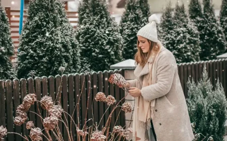 Erfrorene Hortensien Wie Sie die Pflanze retten und Frostschäden vorbeugen können!