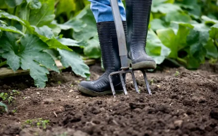 Gemüsebeet mit Gartengabel umgraben Anleitung