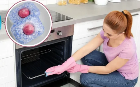 Geschirrspültabs zur Reinigung vom Backofen verwenden