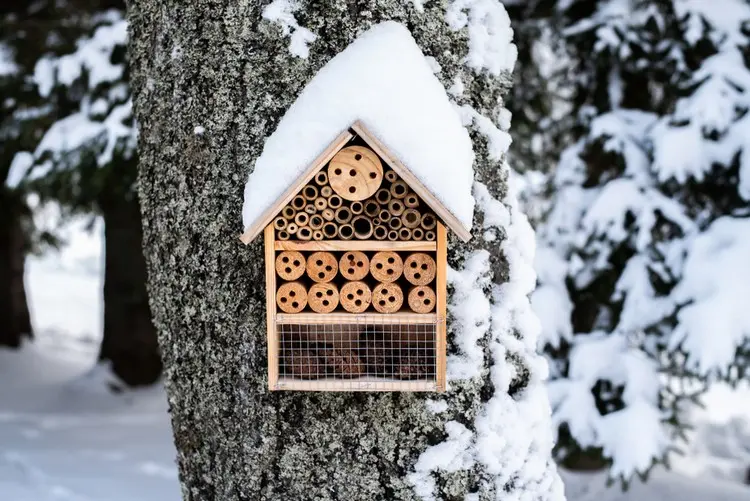 In Insektenhotels finden Marienkäfer, Ohrenkneifer und Co. Unterschlupf