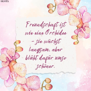 kostenlose bilder mit sprüchen freundschaft orchideen