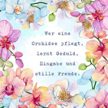 orchideen bilder sprüche zum teilen