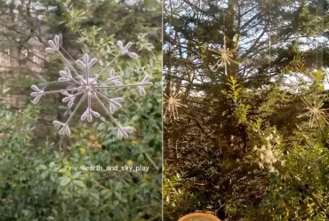 Schneeflocken-Anhänger für Winterdeko am Fenster