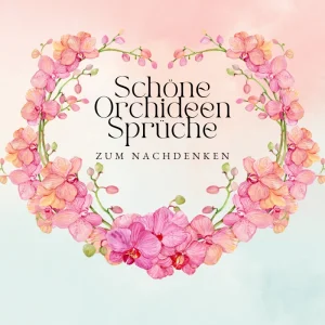 schöne orchideen sprüche zum nachdenken