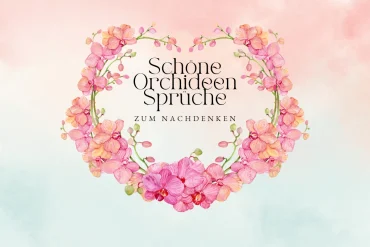 schöne orchideen sprüche zum nachdenken