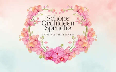 schöne orchideen sprüche zum nachdenken
