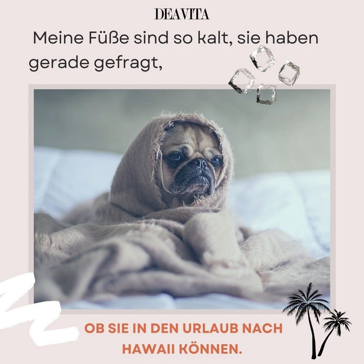 Sie sind so kalt, dass sie auf Hawaii Urlaub machen möchten