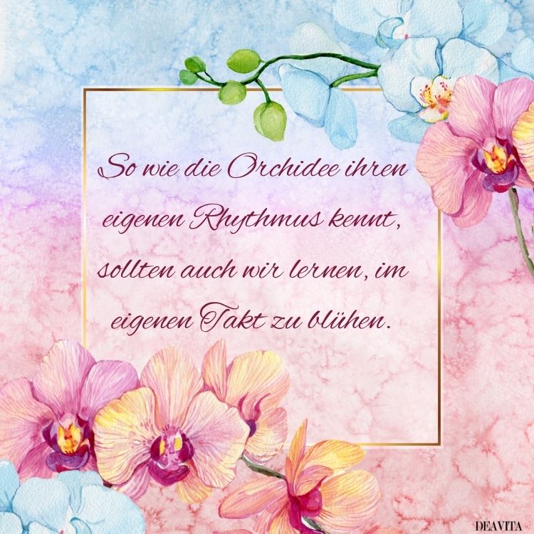 spruch orchideen zum teilen whatsapp facebook