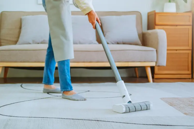 Teppichflecken Staubsaugen Anleitung für Hausmittel über Nacht wirken 