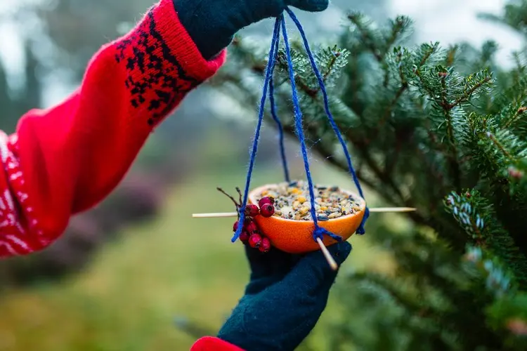 Vogelfutter selbst zubereiten und in den Garten hängen