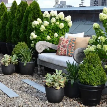 Dachterrasse mit Hortensien und Buchsbaum und Zypressen in Kübeln