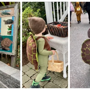 das perfekte last minute kostüm diy schildkröte für groß und klein