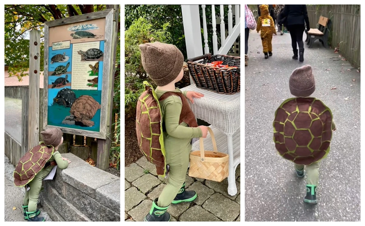 das perfekte last minute kostüm diy schildkröte für groß und klein