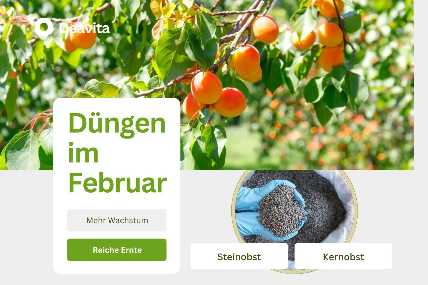 düngen im februar nützliche tipps für alle gartenfreunde