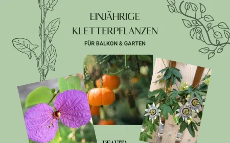 Einjährige Kletterpflanzen für Balkon und Garten, die schnell wachsen