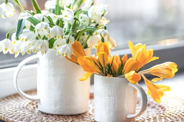 Februar-Dekoration mit den ersten Frühlingsblumen gestalten