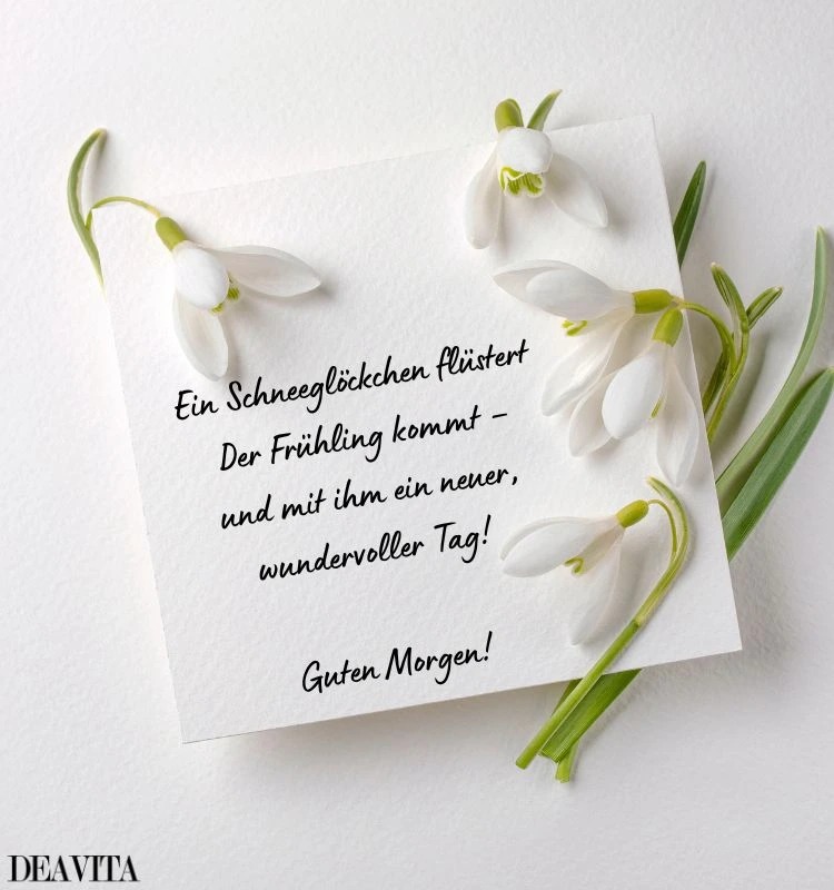 frühling bilder und zitate schneeglöckchen