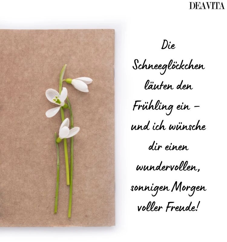 frühling sprüche zitate mit bildern