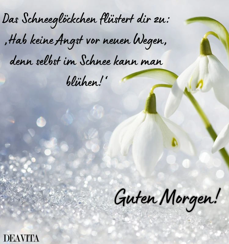 guten morgen bild frühling schneeglöckchen