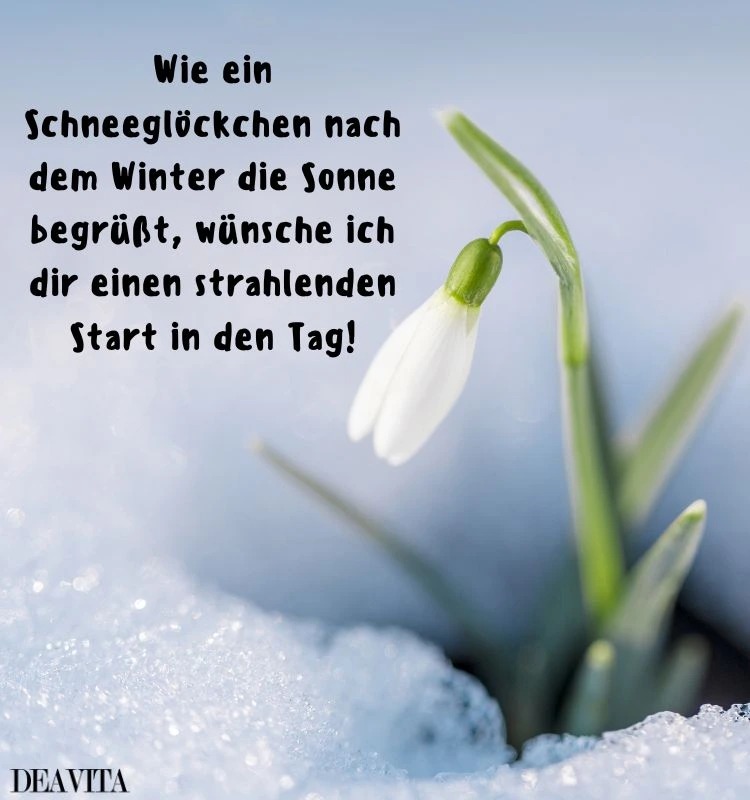 guten morgen bild schneeglöckchen inspirierend