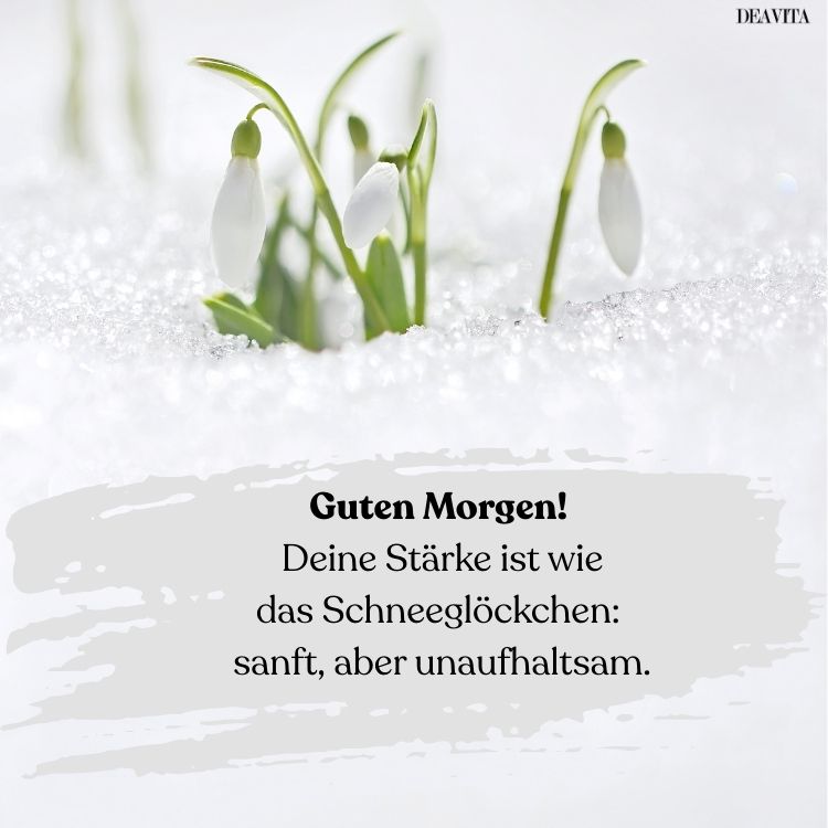 guten morgen samstag schneeglöckchen