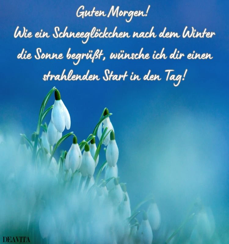 guten morgen schneeglöckchen sprüche und bilder