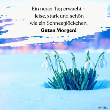guten morgen sonntag schneeglöckchen