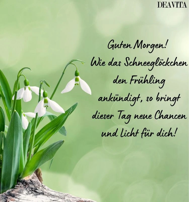 guten morgen spruch schneeglöckchen