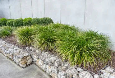 Hochbeet hinter Gabionen mit Ziergräsern und Buxus