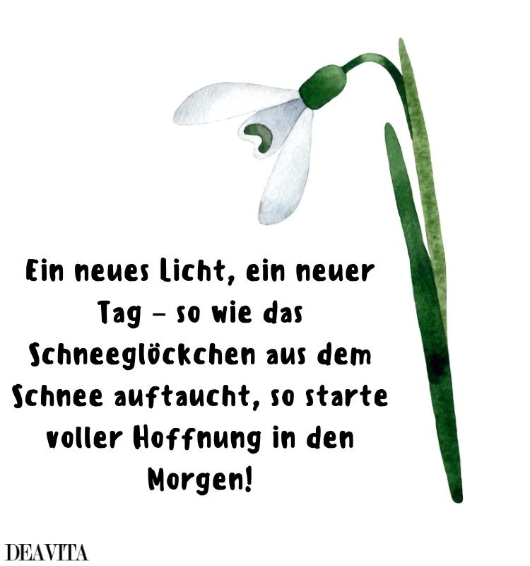 hoffnung sprüche frühjahr schneeglöckchen bild