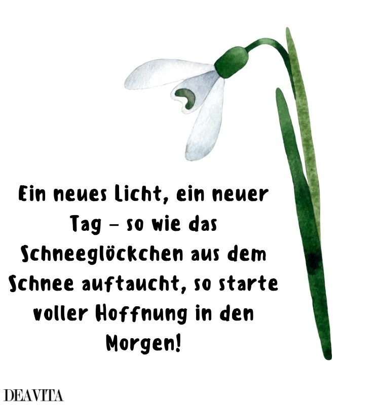 hoffnung sprüche frühjahr schneeglöckchen bild