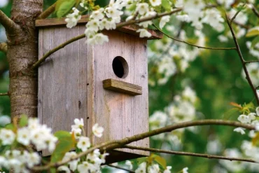 Im Frühling Kasten vorbereiten