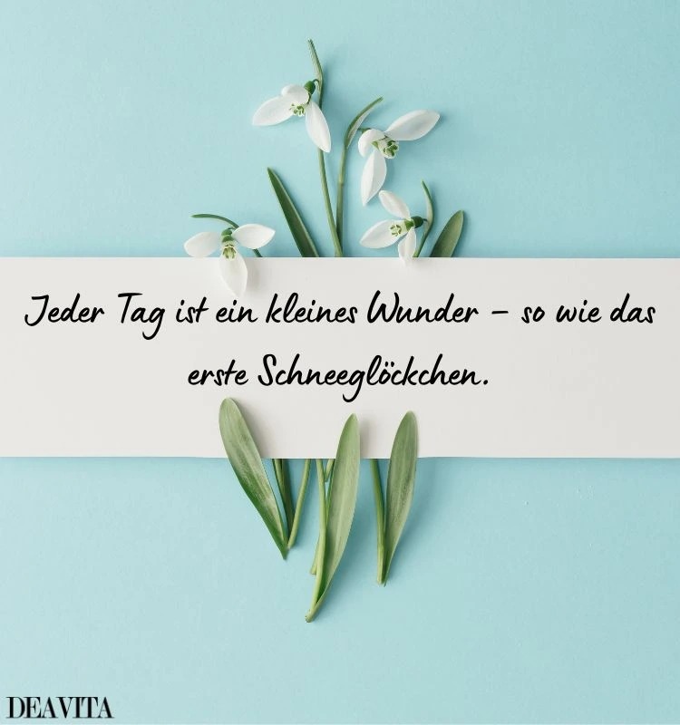 inspirierende zitate mit schneeglöckchen