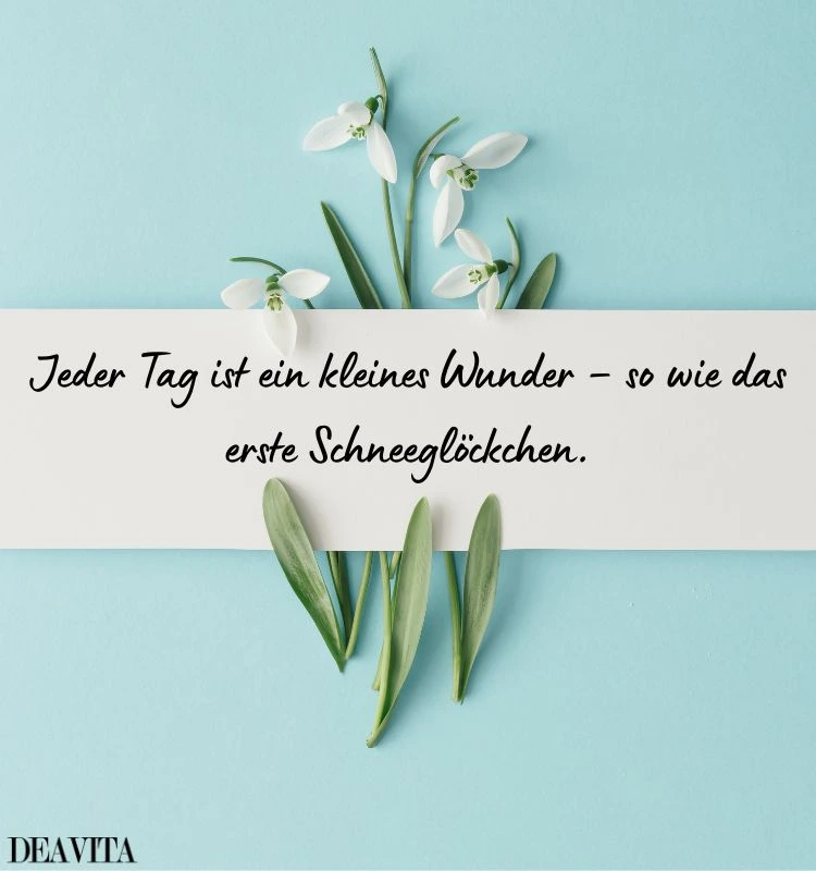 inspirierende zitate mit schneeglöckchen
