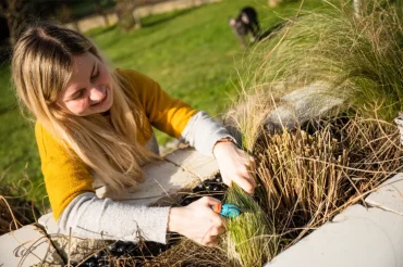 junge blonde frau beim schneiden von federgras im garten