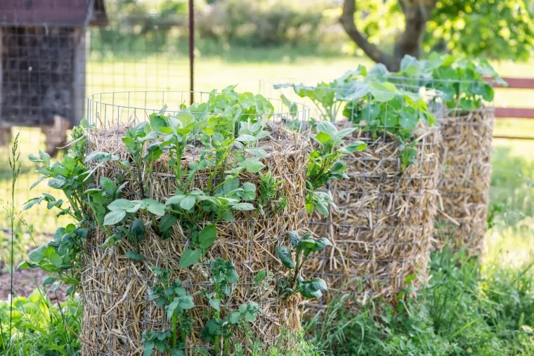 Kartoffelturm selber bauen für einen platzsparenden Gemüseanbau