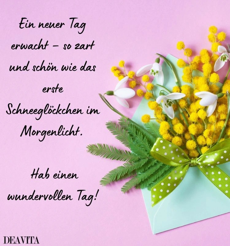 neuer tag sprüche und zitate schneeglöckchen