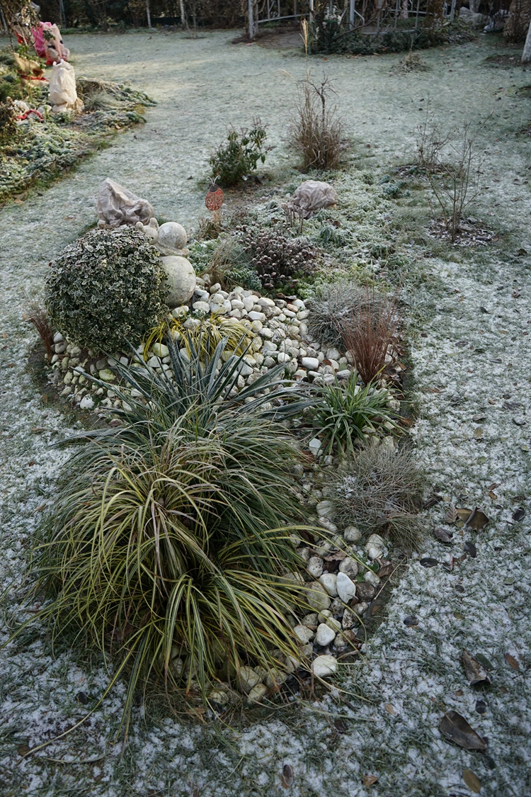 niedrige winterharte ziergräser für steinbeet