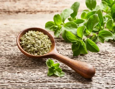 oregano, der für hunde giftig ist