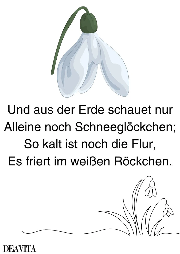 schneeglöckchen gedicht kurz für kinder