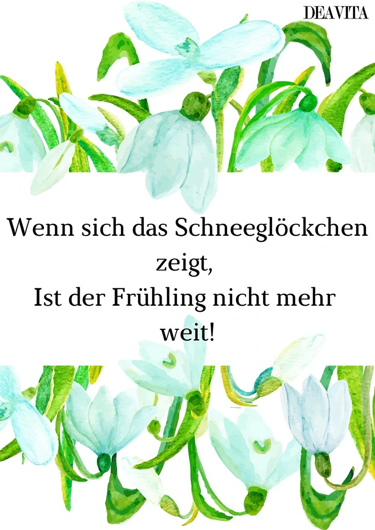schneeglöckchen spruch mit bild (1)