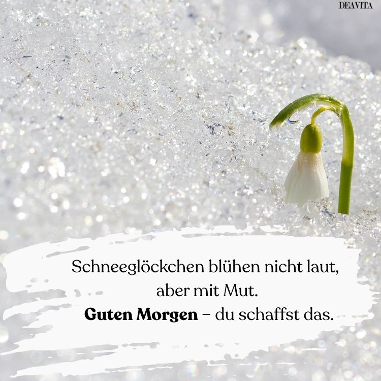 schneeglöckchen sprüche guten morgen positiv