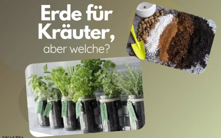 welche erde für kräuter