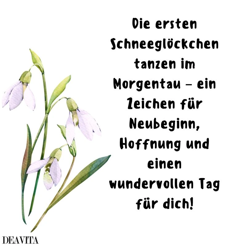 wundervollen tag wünschen schneeglöckchen bild